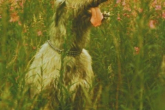 2005_07