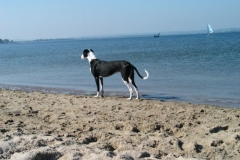 2005_10