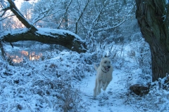 2005_12