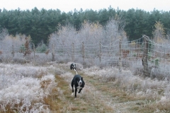 2007_12