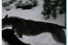 2010_02