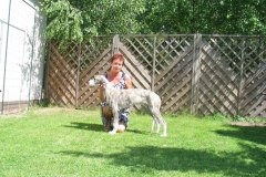 chico_34
